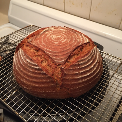 Einkorn loaf, oblique view