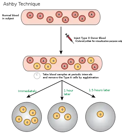 Ashby Technique Visual Representation.