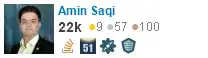 profile for Amin Saqi on Stack Exchange, a network of free, community-driven Q&A sites