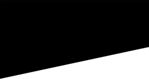Dataset Example