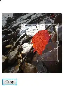 4th image