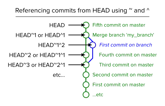 Input Image