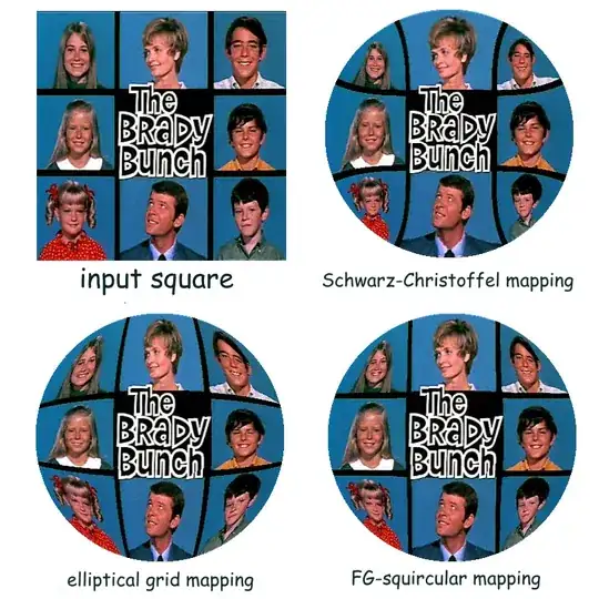 Picture 1) Summary Matrix
