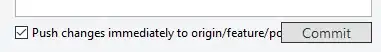 Checked option for: Push changes immediately to origin