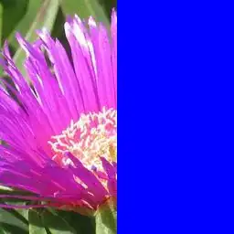 Example image here
