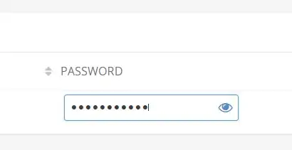 Password Mask