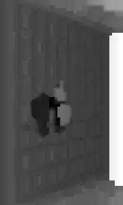 biplot(princomp...