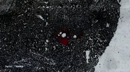 Image of the error