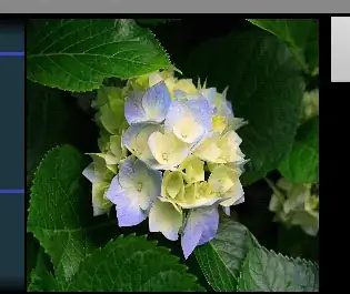 Output image for sample image