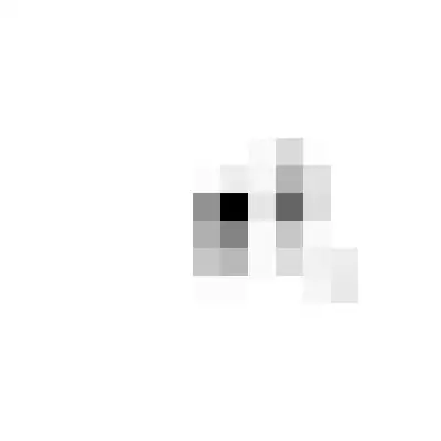 resampled raster
