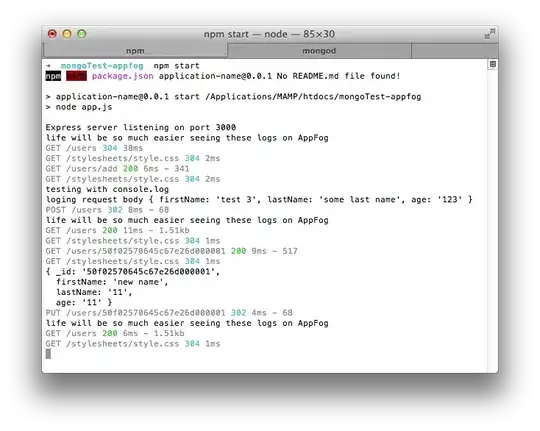 console logs on the terminal