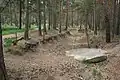 Image 87Pineferous forest of the sandy Bagshot Formation spanning parts of four boroughs towards the north-west and in the far west of the county, with defensive positions for historic army training near Deepcut and Pirbright (from Portal:Surrey/Selected pictures)