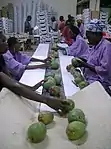 Image 14Mango packaging (from Malian cuisine)