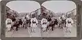 1897 View # 35 Shepherds leading sheep to the Nafplion Market