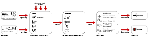 Pathopysiology of allostatic load
