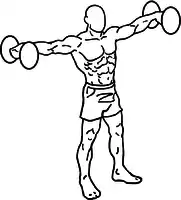 Strengthening the shoulder joint.