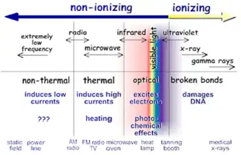 Types of Radiation in the Electromagnetic Spectrum
