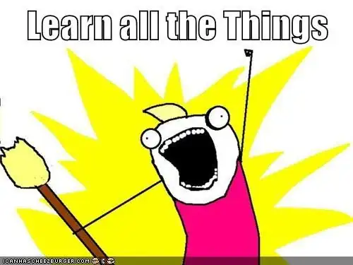 Learn all the things meme