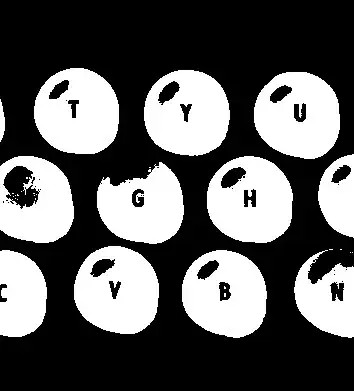 Input Image