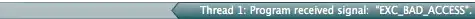 screenshot of IDE
