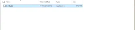 nuget.exe