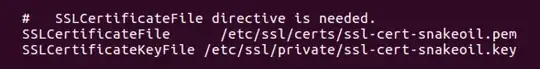 Note I have not a version language switcher here