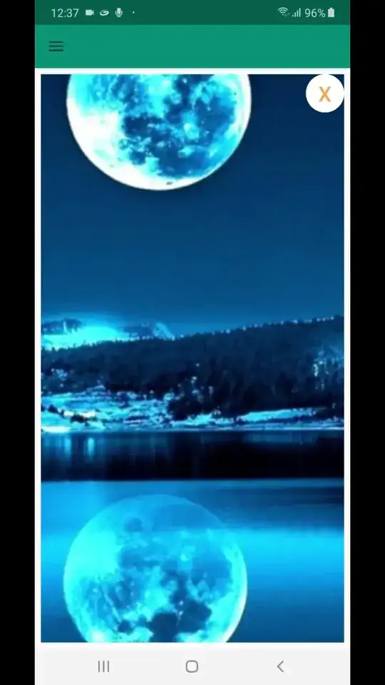 Zoom-In Image