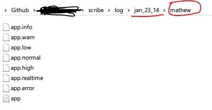 Console log with error