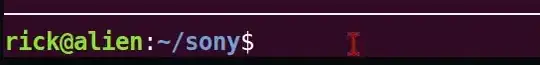 Dev Console
