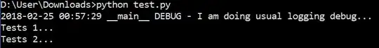 My application's package.json