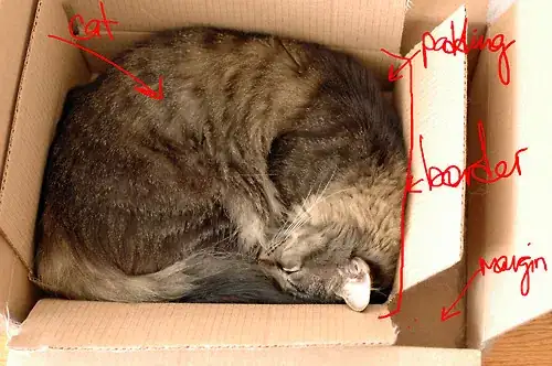 CSS Box model