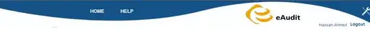 My result when i typed Rails in Firefox Console