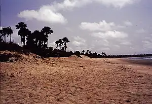 Image 10Gunjur is a small coastal town in south-western Gambia.