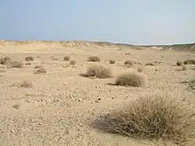 Image 30Desert scene in Egypt (from Habitat)