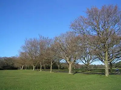 Image 26Trees on Southampton Common in winter (from Portal:Hampshire/Selected pictures)