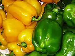 Paprika